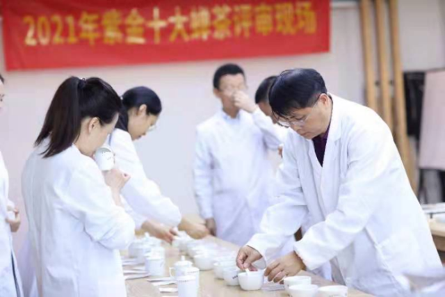 专家现场评审茶样