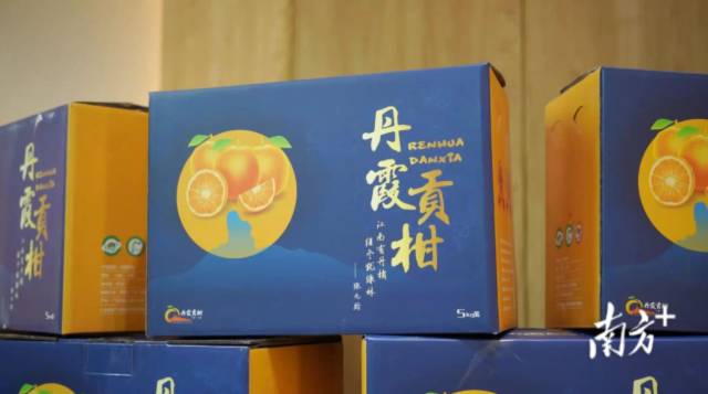 丹霞贡柑品牌已成为行业佼佼者