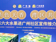 快来围观！广东特色佳果走进祈福新村