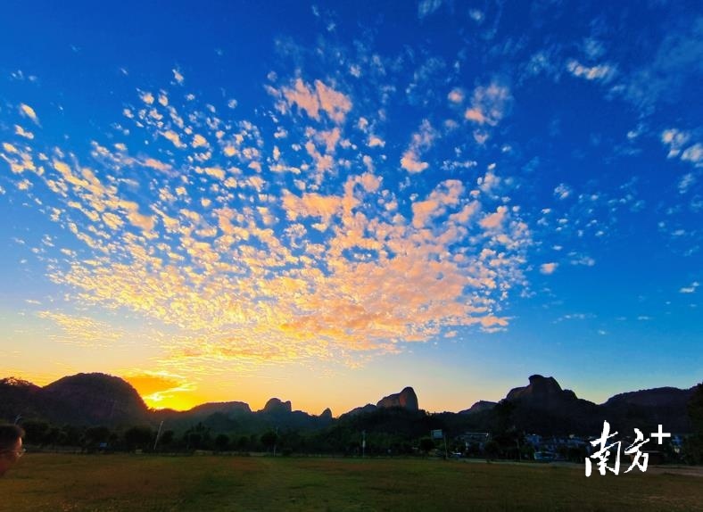 群象追晚霞。邵燕华 摄