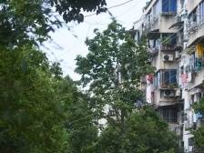 “我们的工作很有意义！基层党员及时发现送医，突发脑梗独居老人转危为安