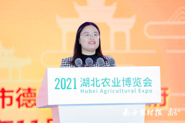 德庆县人民政府副县长植思华推介德庆贡柑