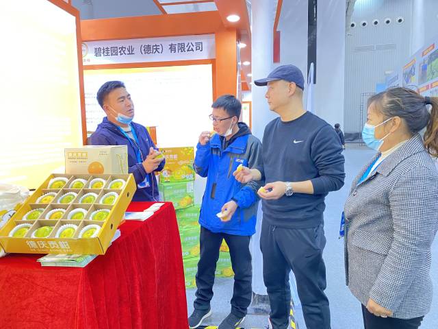 广东柑橘吸引众多市民前来品尝、购买，并纷纷点赞。