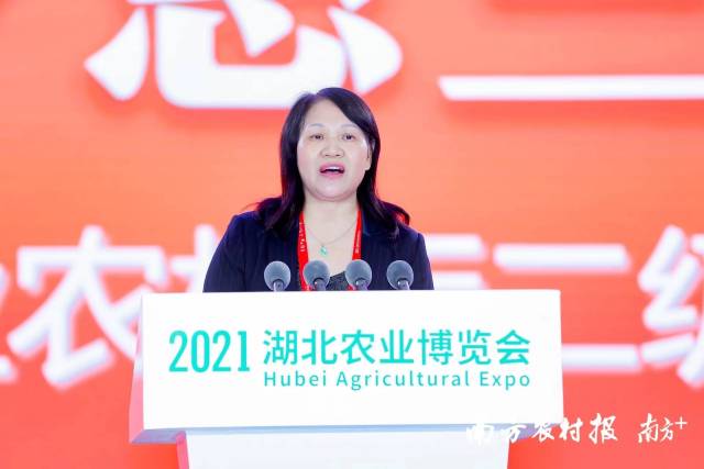 广东省农业农村厅二级巡视员罗惠兰致辞