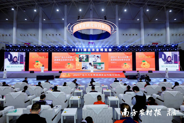 活动现场播放广东柑橘（德庆贡柑）形象宣传片。 南方农村报摄制团队拍摄，下同。