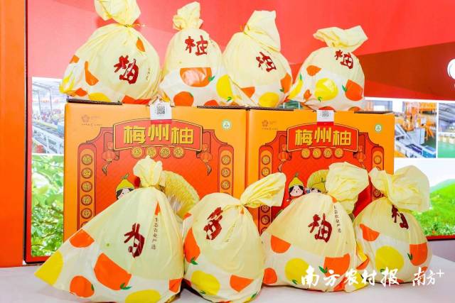 梅州柚在广东展区亮相。