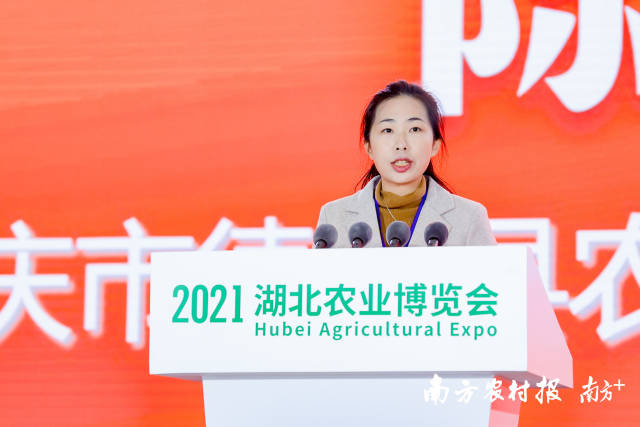 德庆县农民合作社服务中心负责人陈慧：“贡柑的皮还可以制作成陈皮，不仅有药用价值外还具有独特的香气，是煲汤、泡茶的佳品。”&nbsp;&nbsp;