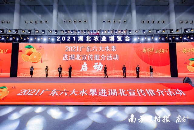 2021广东六大水果进湖北宣传推广活动启动仪式。&nbsp;