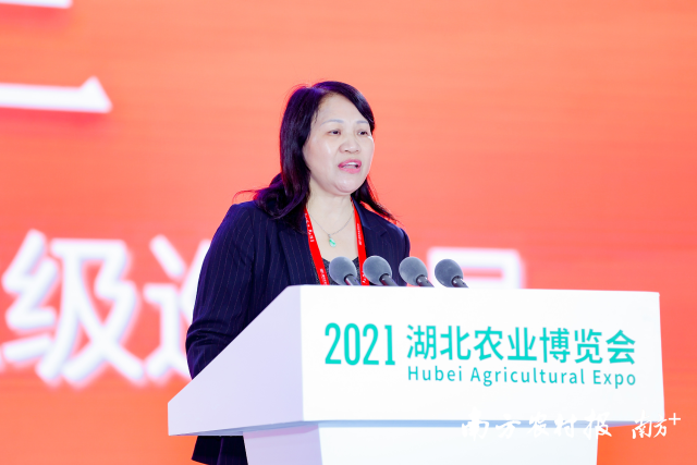 广东省农业农村厅二级巡视员罗惠兰发言