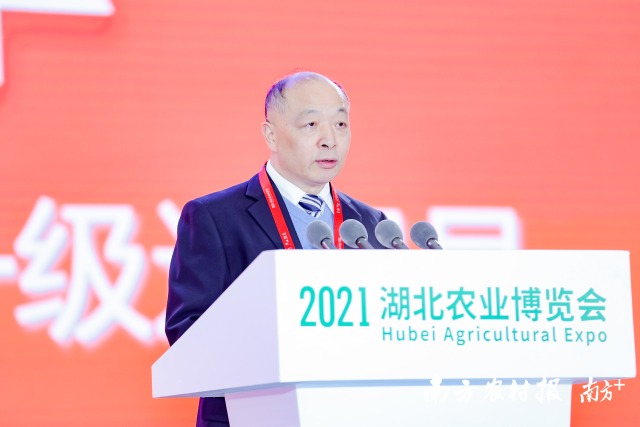 湖北省农业农村厅一级巡视员刘长华上台讲话