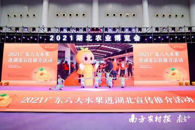 推介活动现场。