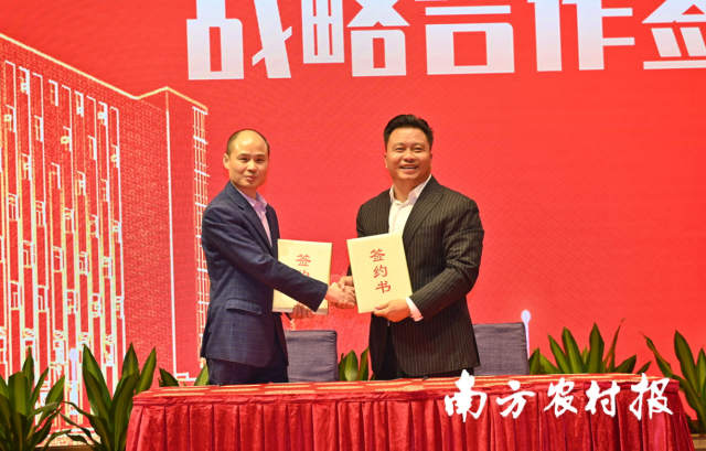 泓达堂总经理廖长亮（右一）与兴茶传媒创始人唐时望签订营销策划战略合作协议。