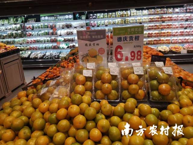 德庆贡柑上架武商集团旗下连锁超市。