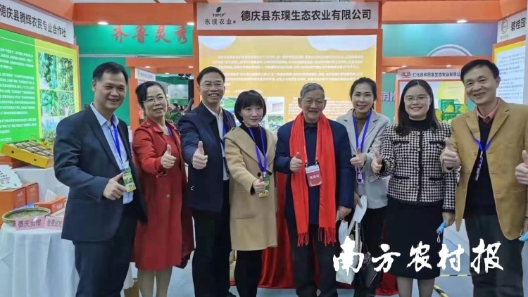 “贡”聚英雄之城！德庆贡柑入鄂在武汉燃起“冬天一把火”
