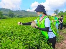 高明这个产业引起市委书记关注，背后故事你知道吗？｜聚焦党代会