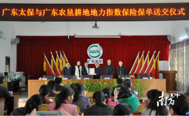 太保产险广东分公司向广东农垦送交相关保单。