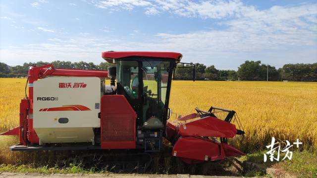 机械收割  梁思毅 供图