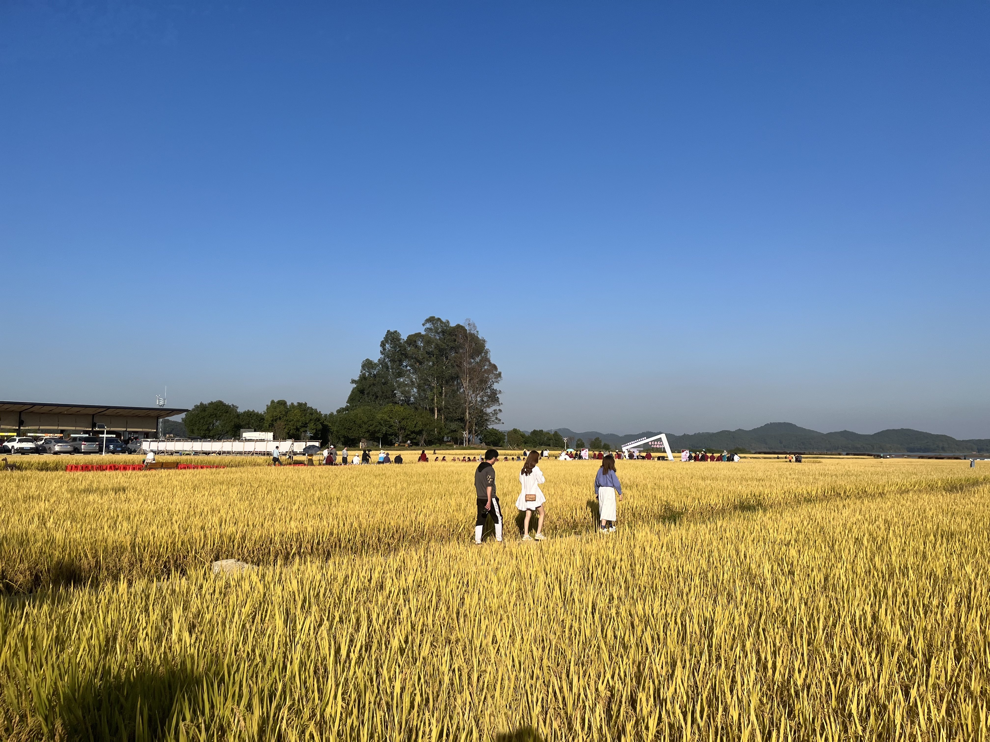 游客到大塘面村游玩。 南方+ 郑琦 拍摄