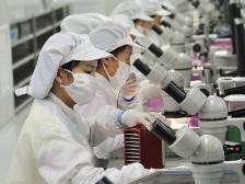 惠州：提升产业综合竞争力，夯实高质量发展基础