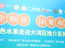 快来围观！广东特色佳果走进龙光峰景华庭