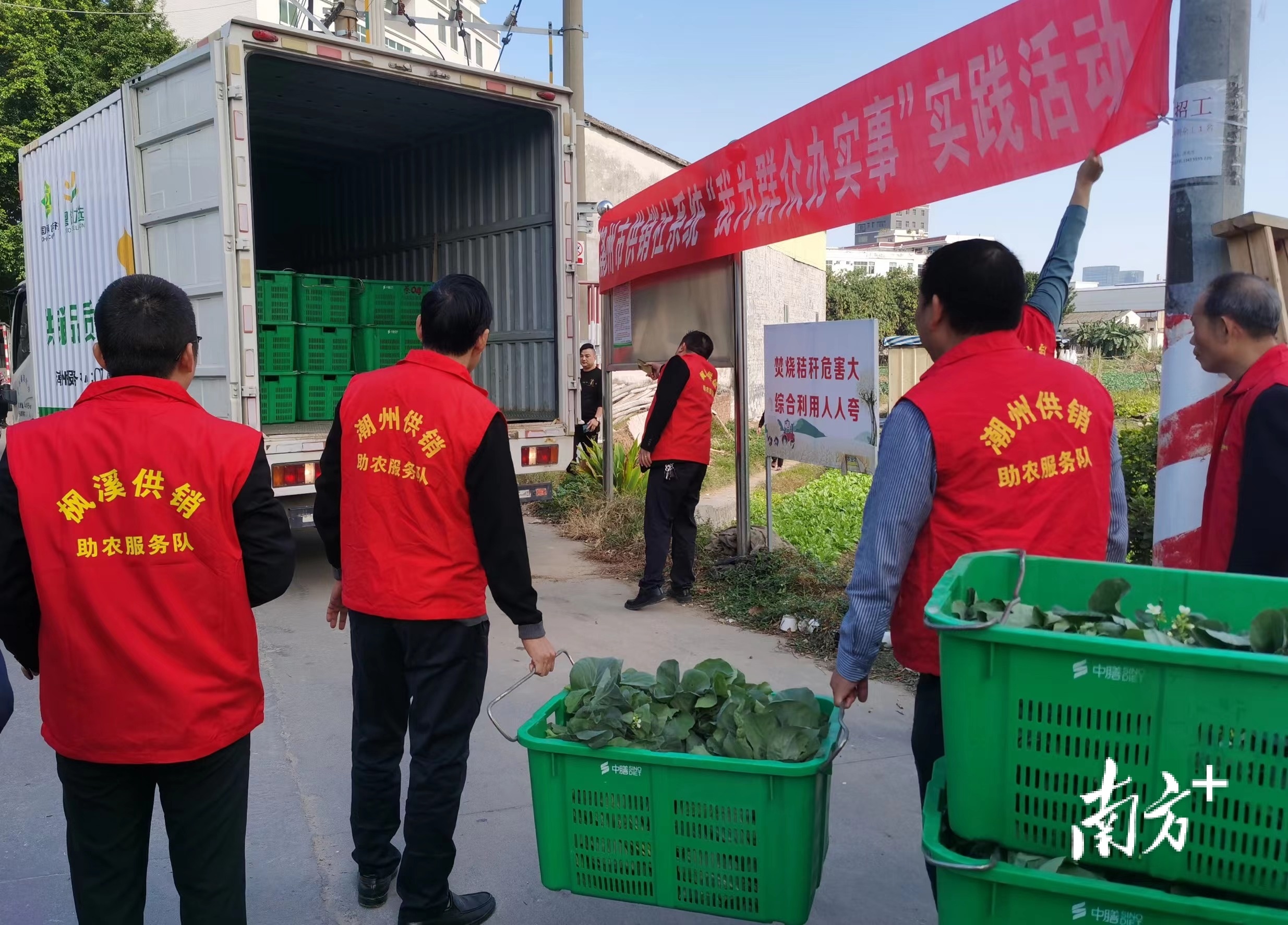 潮州供销中膳农产品配送有限公司现场向农户收购并装车。 潮州供销中膳农产品配送有限公司现场向农户收购并装车。