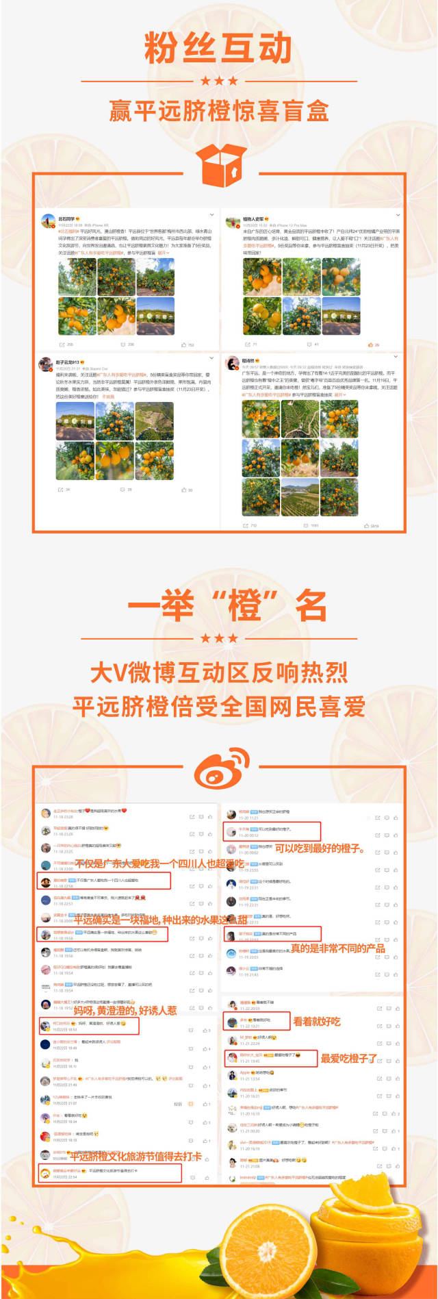 南方农村报 南方农村报 制图
