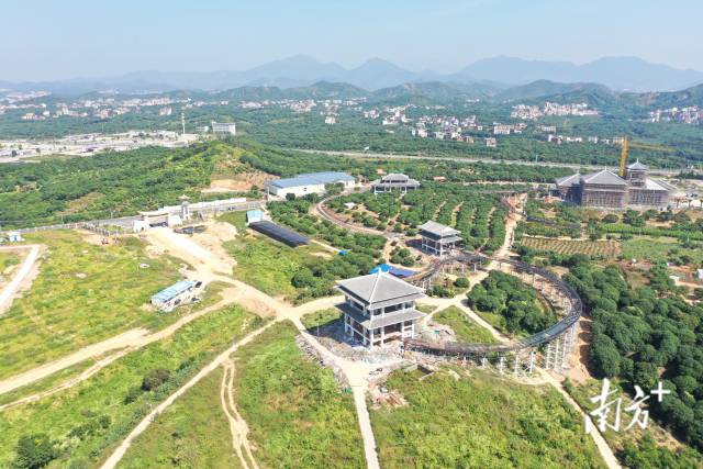 2018年，茂名市获批创建国家现代农业产业园。经过3年建设，产业园已经形成荔枝品种资源保护、加工、冷链物流、休闲旅游等全产业链格局，主导产业荔枝总产值超过百亿元。