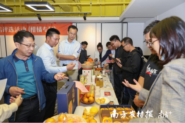 广东省农业农村厅产业园办副主任林日强（左一）正在品鉴柑橘