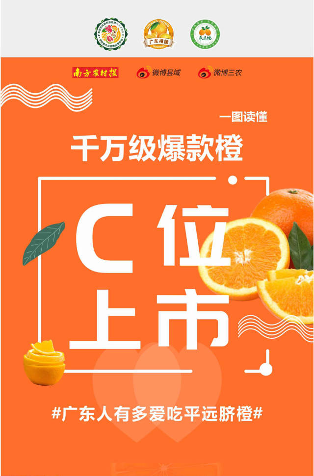 南方农村报 南方农村报 制图