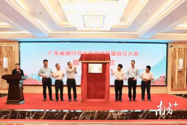 南方农村报 黄百强 拍摄