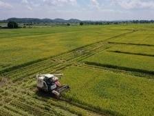 重视现代都市农业发展，佛山谋划什么？｜聚焦党代会