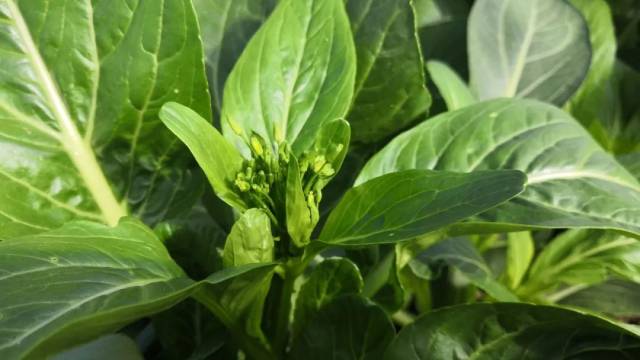 南方农村报 暂无 拍摄