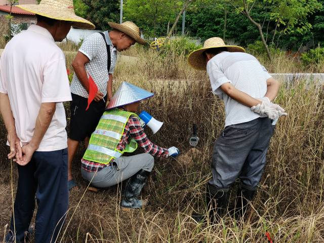 清城区界牌村委会红火蚁防治专业技术队开展实地培训 