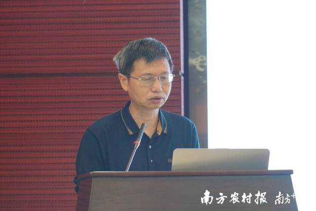 广东省农业技术推广中心种植业技术与种业推广部部长罗学梅 