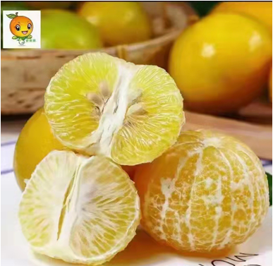 南方农村报 吕敏仪 制图