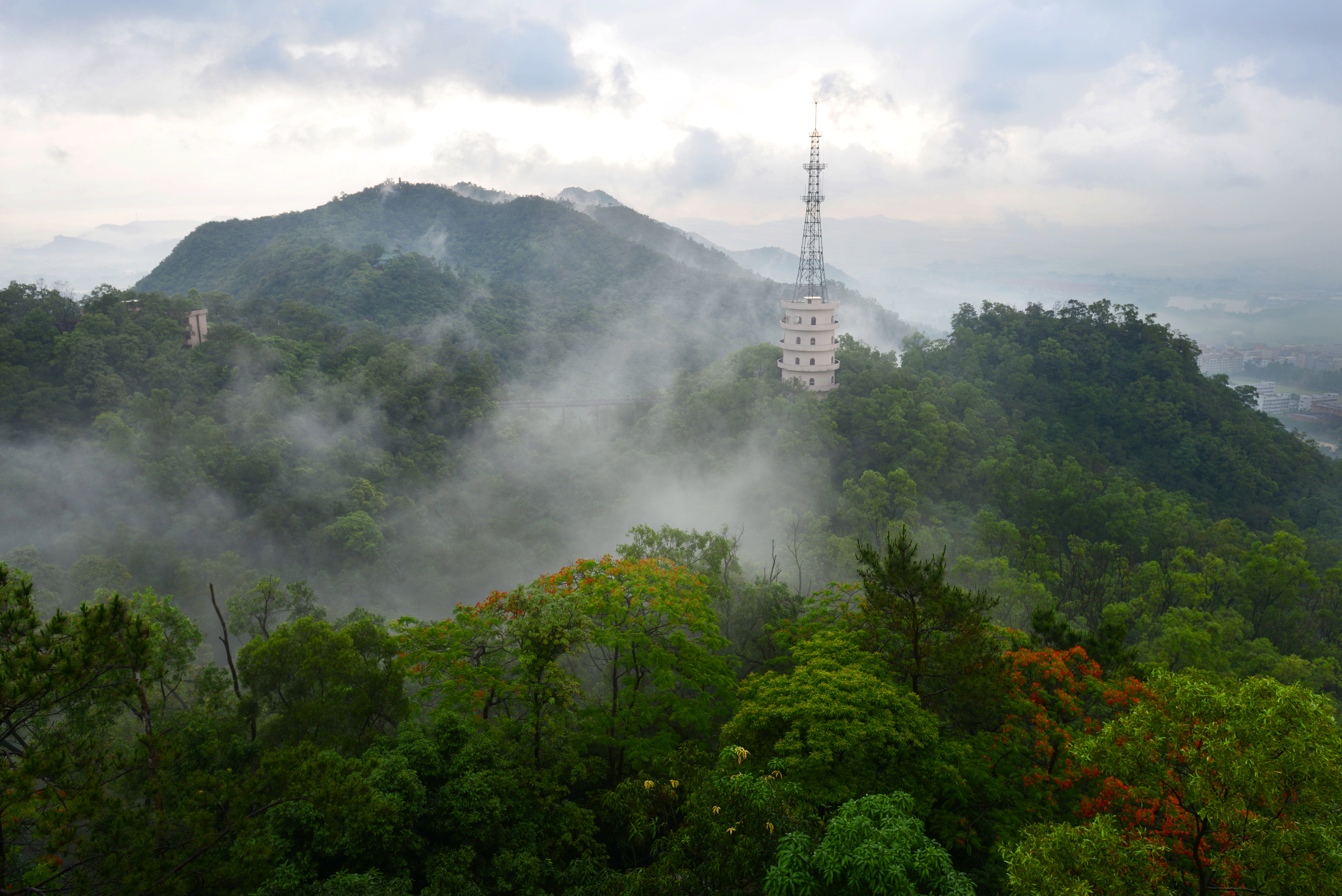 鳌峰山森林公园。何焕华 摄