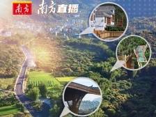 设计+的魅力有多大？带你到南平小镇一探究竟