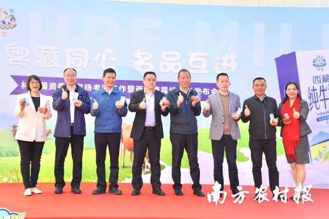 與會嘉賓推介貢布牛奶