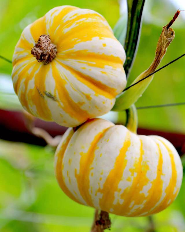 南方农村报 暂无 拍摄