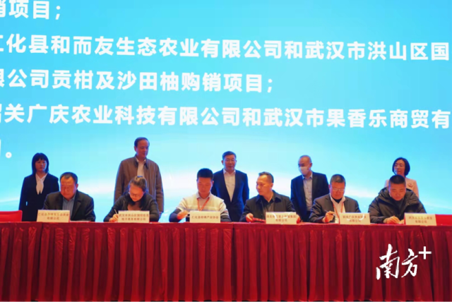 广东企业代表与湖北企业代表进行经贸合作项目签约，（二排左起）广东省韶关市仁化县人民政府副县长江艳芬、广东省商务厅副厅长马桦、广东省人民政府副秘书长林积、湖北省商务厅市场运行和商贸服务处处长方家文、广东省茂名市政府副秘书长杨曦共同见证