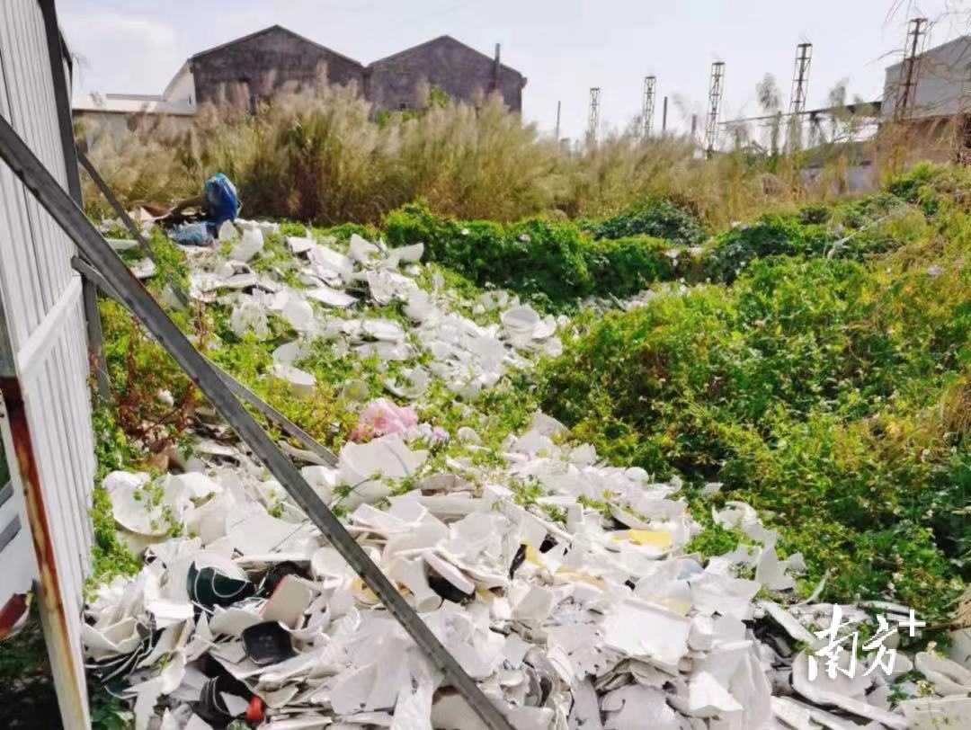 整治前陶瓷垃圾乱堆放现象严重。