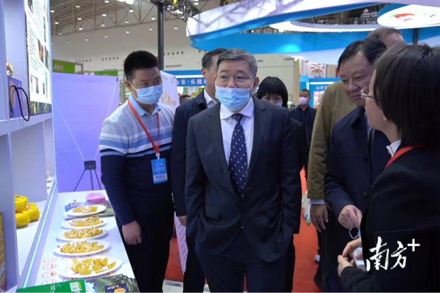 广东省人民政府副秘书长林积（中）等领导巡视丹霞贡柑展位