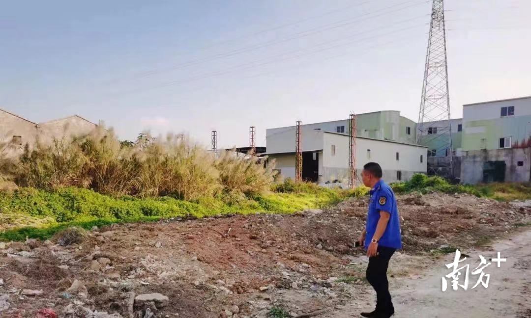 整治后陶瓷垃圾基本清理干净。