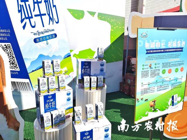 貢布牛奶