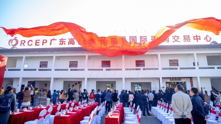 上线RECP广东农产品国际交易云展会、开展首期培训班！广东RCEP探索更进一步