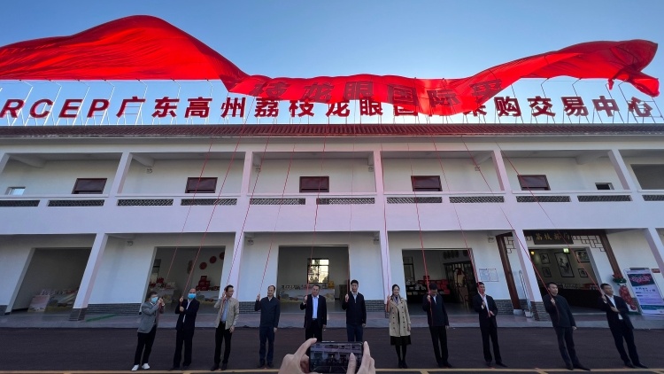 揭牌！RCEP广东高州荔枝龙眼国际采购交易中心成立