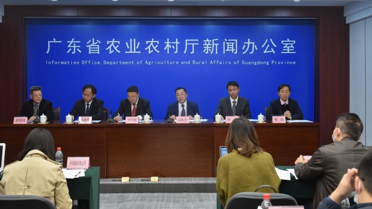 为乡村振兴贡献渔业力量！广东正在制定《珠三角示范性美丽渔场创建工作实施方案》