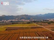 乡村餐桌上的新转变 ，云浮“流动餐厅”炒火家乡味｜小康味道