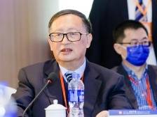 杨洁勉：以重大项目合作驱动“一带一路”绿色创新