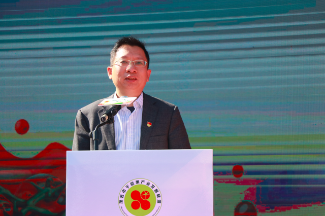 茂名市电白区委常委、常务副区长黎凯晟